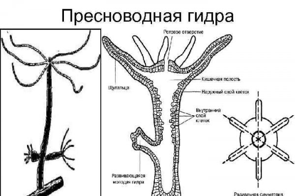 Кракен без тора