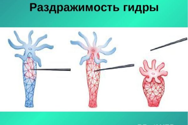 Ссылка на кракен онион