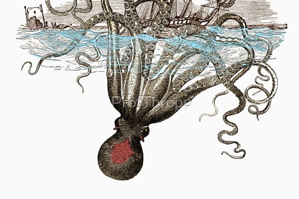 Kraken istand onion ссылка